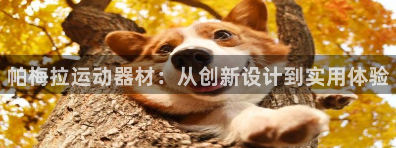 意昂4集团简介