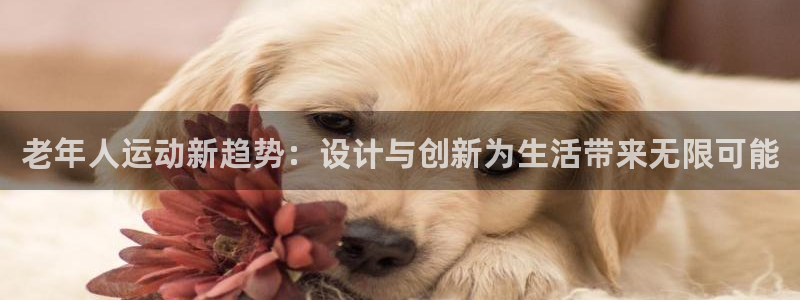 意昂体育4平台假的吗是真的吗吗：老年人运动新趋势：设计与创新