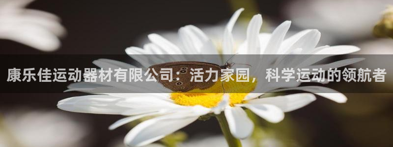 意昂4科技：康乐佳运动器材有限公司：活力家园，科学运动的领航