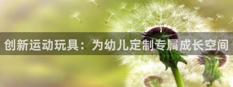 意昂4集团官网首页：创新运动玩具：为幼儿定制专属成长空间