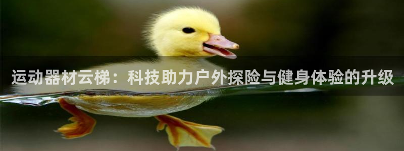 意昂4娱乐是那个系列的台子：运动器材云梯：科技助力户外探险与